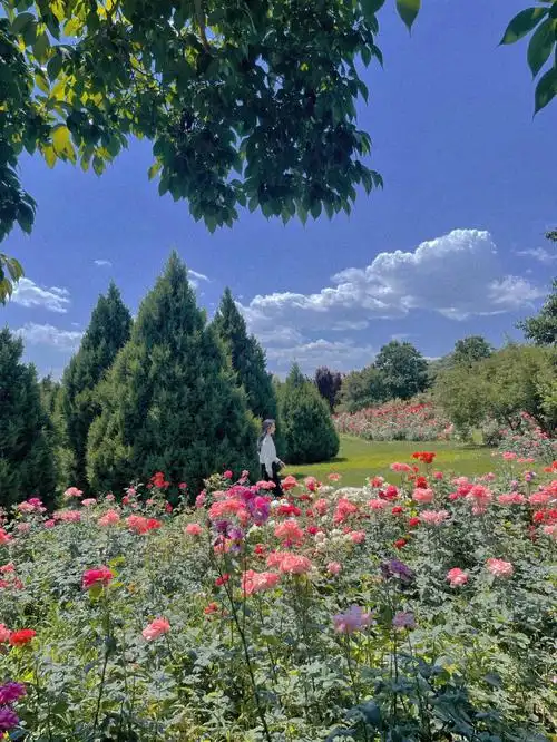 北京爱丽丝花园当一次小仙女吧0269