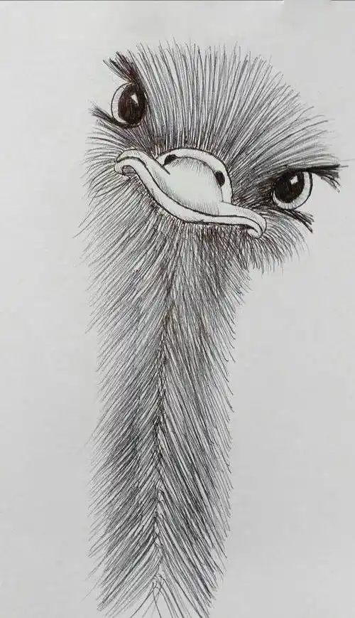 画图图片素描简单儿童素描画图片大全简单