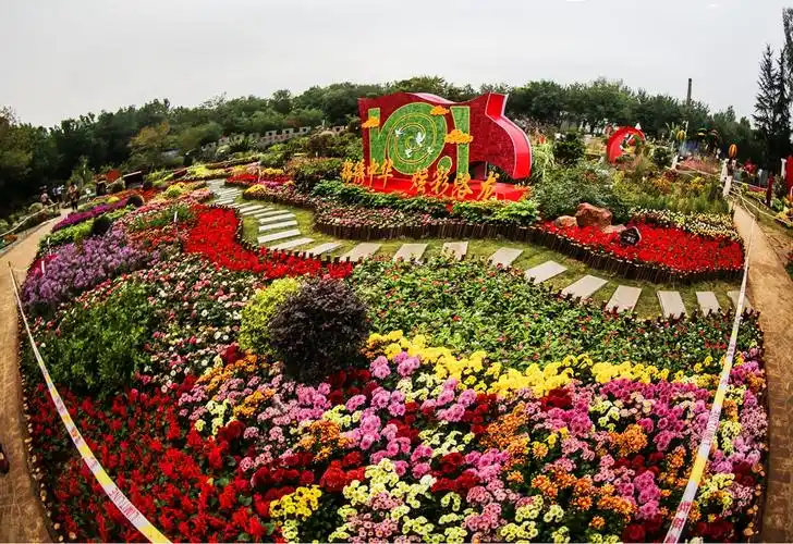 冒雨游花境一十月四日洛阳中国国花园花境掠影