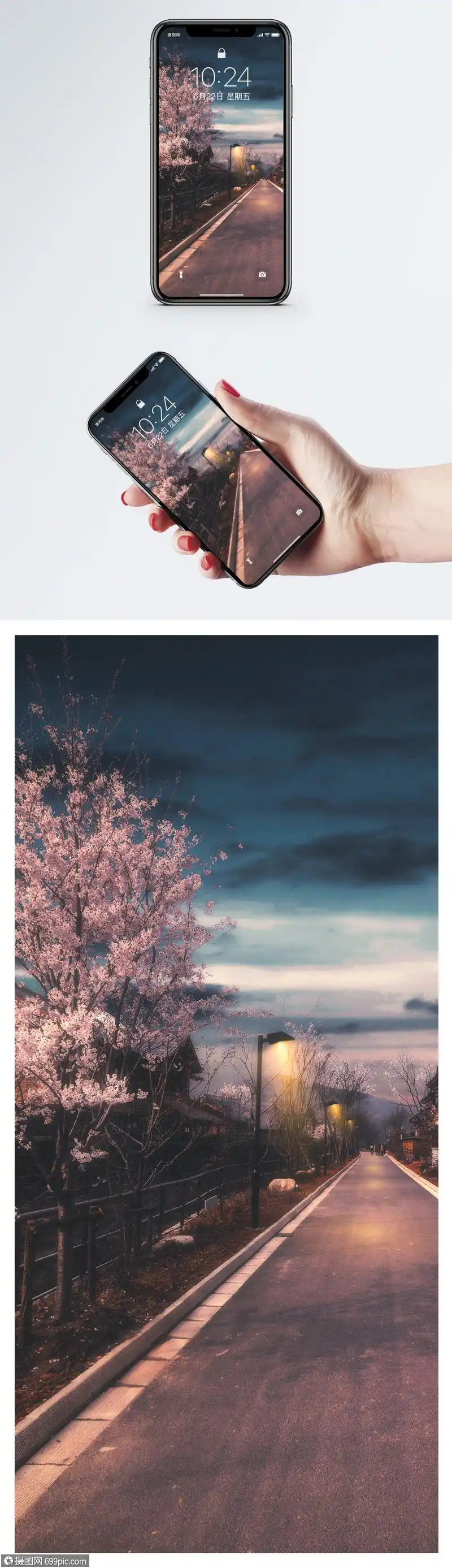 樱花路灯手机壁纸意境手机屏保