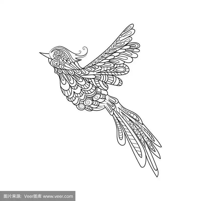 飞鸟曾缠栅手绘