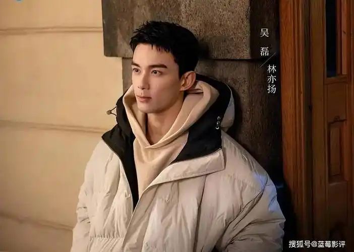 吴磊《在暴雪时分》首波口碑出炉,观众的打分和评价"一针见血"_剧情