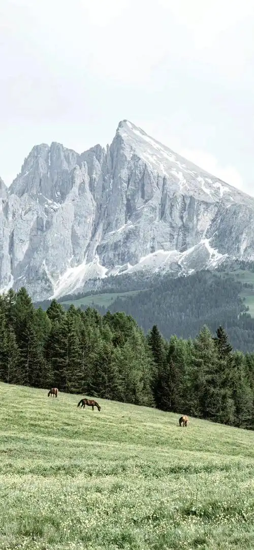 壁纸 风景 690_1495 竖版 竖屏 手机