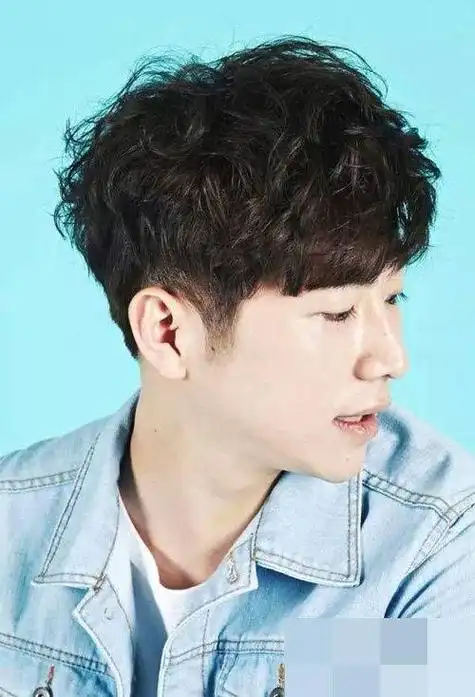 男生纹理烫短发发型(男生纹理烫几种类型) - 男士短发烫头 - 实验室