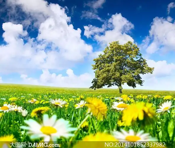 蓝天白云大树花草风景摄影高清图片