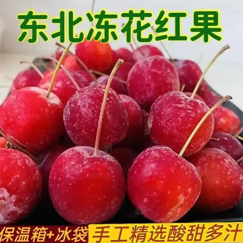 9090.这款东北花红果海棠果酸甜儿多 - 抖音