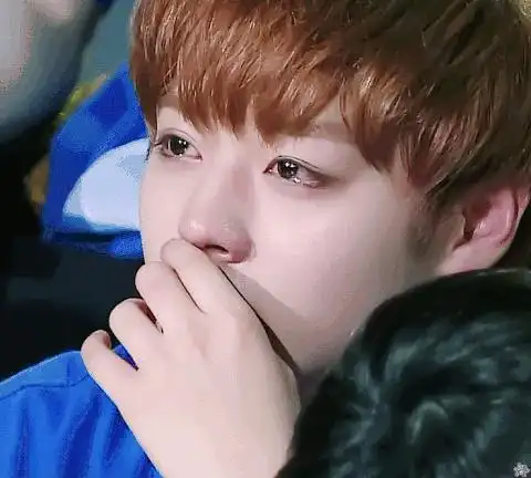 镜像贴男爱豆哭的动图