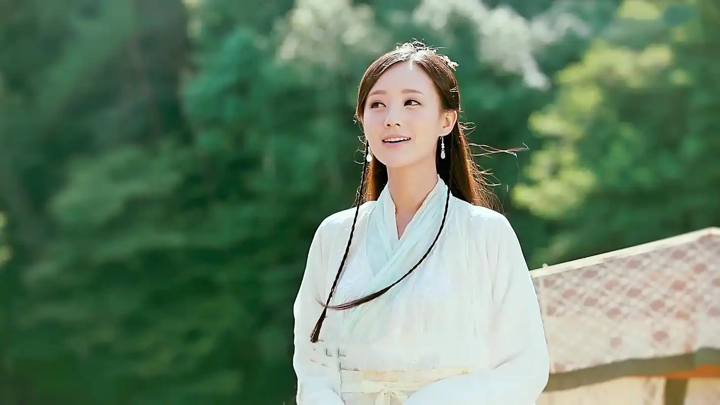 神雕侠侣后传(侠骨丹心)上篇