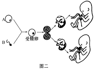 男,女两*生殖器官的差异称作( )