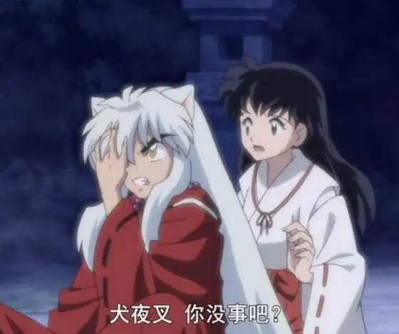 半妖的夜叉姬犬夜叉和戈薇去哪了