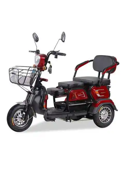 老年代步车三轮车家用小型