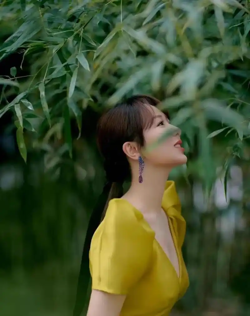 杨紫性感深v美图