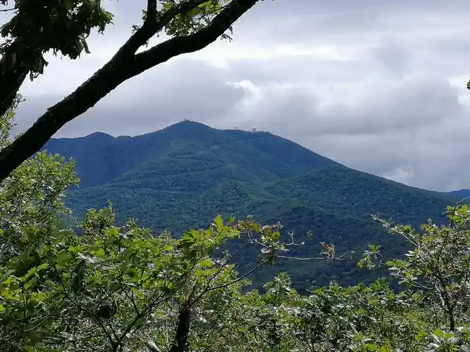 东北吉林长白山原始森林