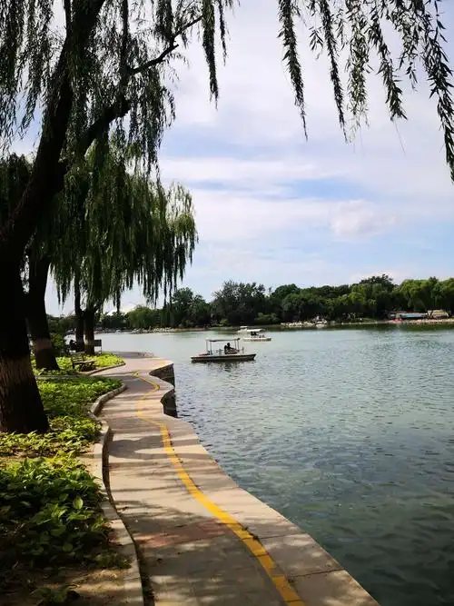 2020-7-19 龙潭公园的盛夏景色.