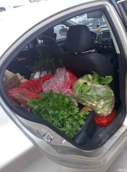 回家路上没拍什么照,这个是刚到老家就给我老爸帮忙拉菜啦,农村办酒席