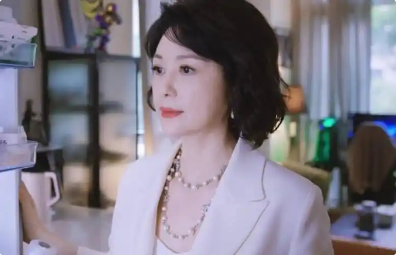 中年韵味十足,《承欢记》这位女配出场就惊艳众人_邓英_何赛飞_观众