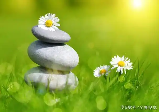 宁静做自我,淡定走人生