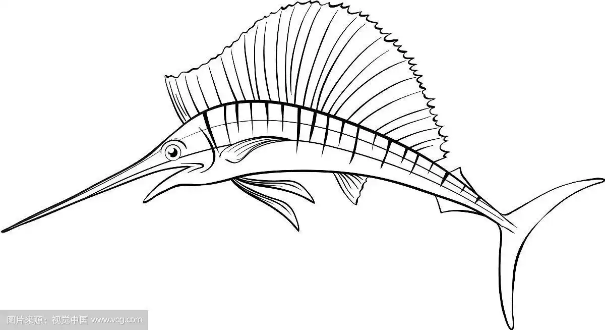 剑鱼的动物轮廓