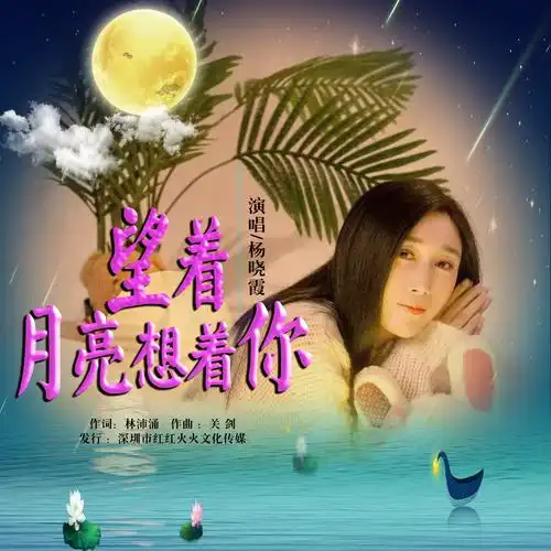 杨晓霞望着月亮想着你dj沈念版
