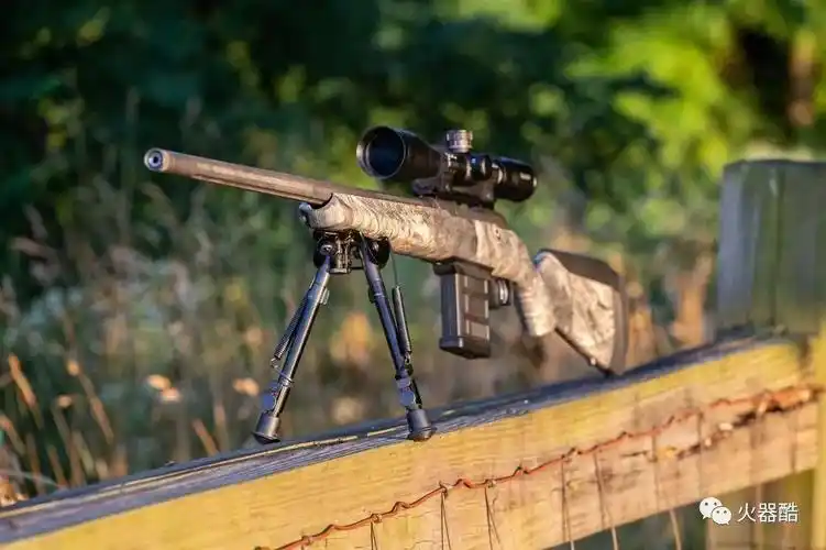 难以逃脱的猎物savage家的精准步枪图集