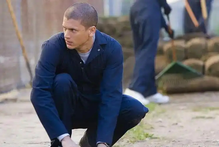 93分经典还没完越狱第六季终于有消息