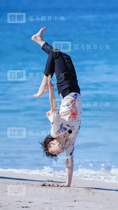 论王子异与蓝忘机的适配度