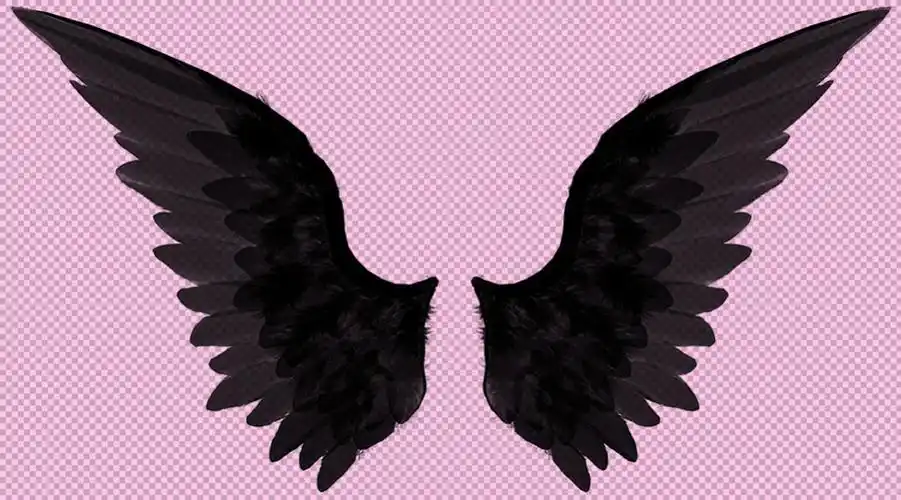 黑色的翅膀免抠png透明图层素材