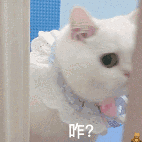 污污瑟瑟撩人色色表情包