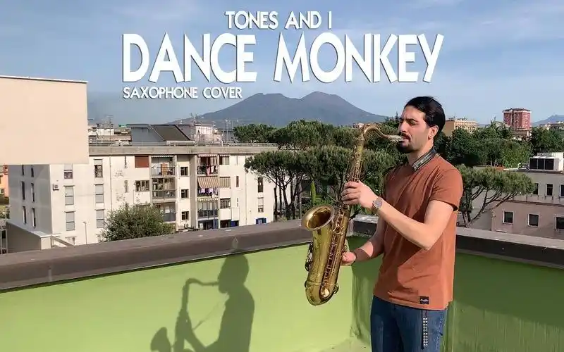 4k萨克斯舞猴dancemonkeytonesandisaxcover
