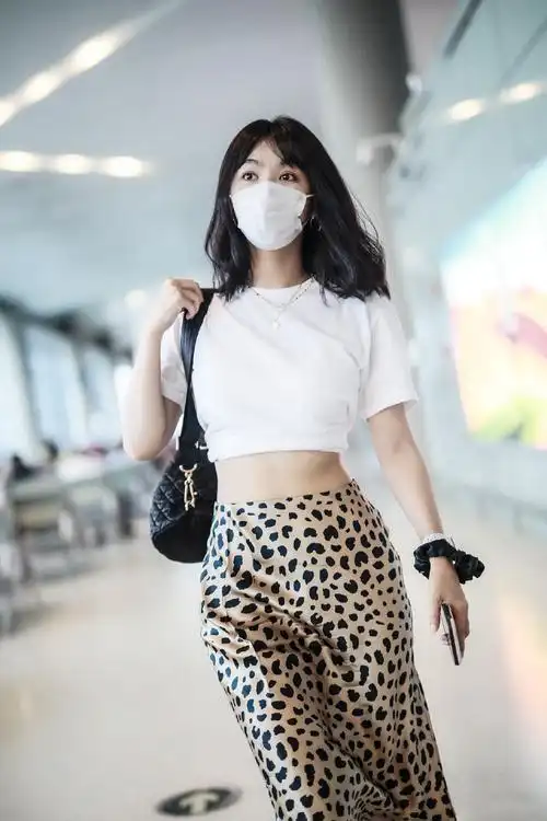 李菲儿豹纹纱裙机场照图片