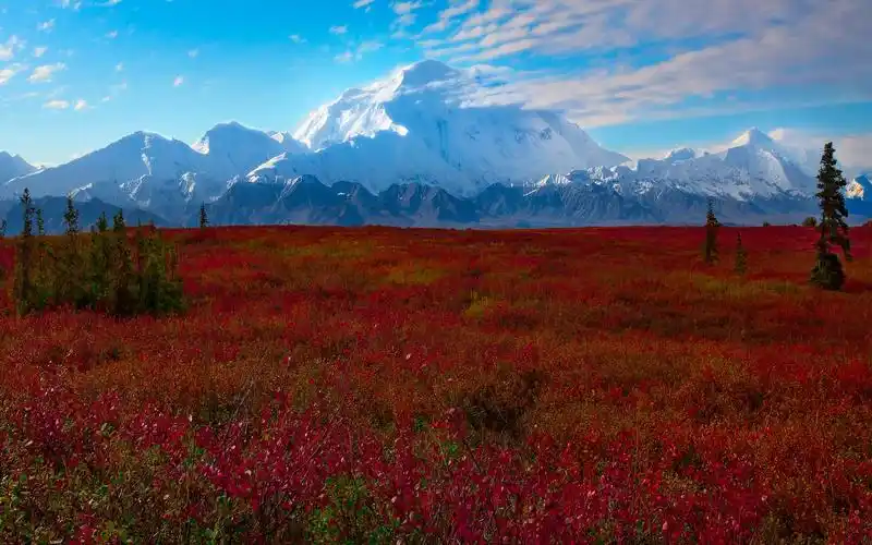 迪纳利国家公园美丽的风景高清壁纸-1920x1200下载