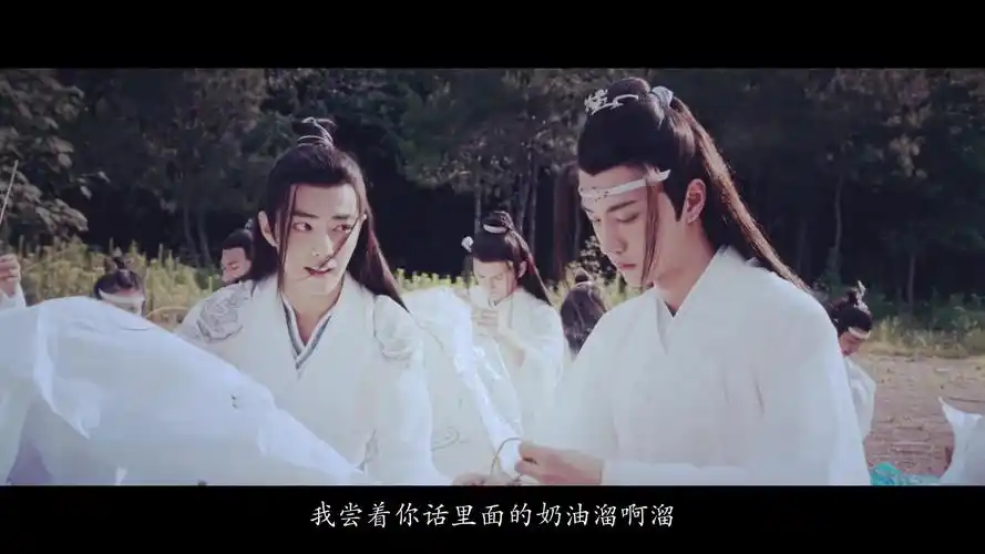 陈情令肖战x王一博魏无羡x蓝忘机忘羡少年时期高甜预警