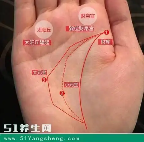 若是太阳丘在无名指的根部,代表着财富,手掌中太阳丘拱起,表明这个人
