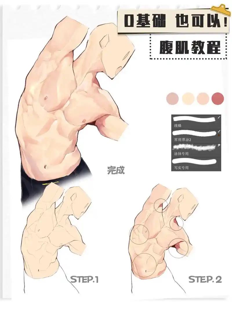 零基础也可以!一看就会的腹肌绘制教程!