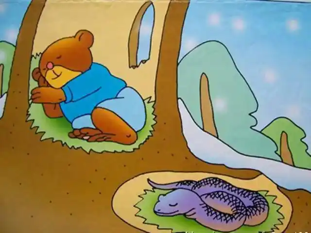 如果把蛇放入冰箱,它会冬眠吗?