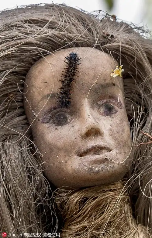 墨西哥有个岛上全是鬼娃娃 大白天也能把你给吓尿了!