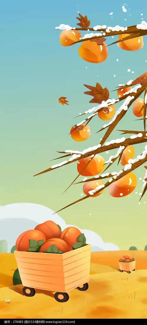 二十四节气霜降柿子柿饼黄色背景手绘卡通