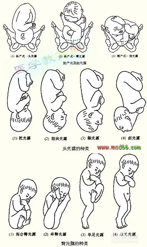 孕期注意事项(孕期全过程)