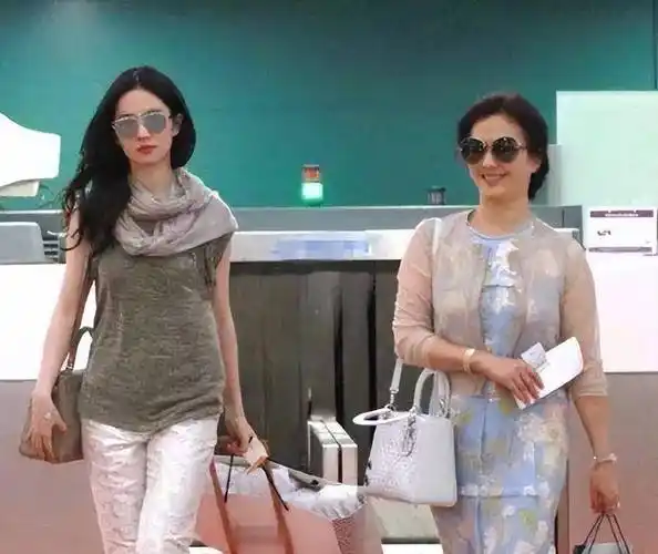 刘晓莉也想让丈夫和她一起回国,但丈夫的工作都在美国,无法移居中国