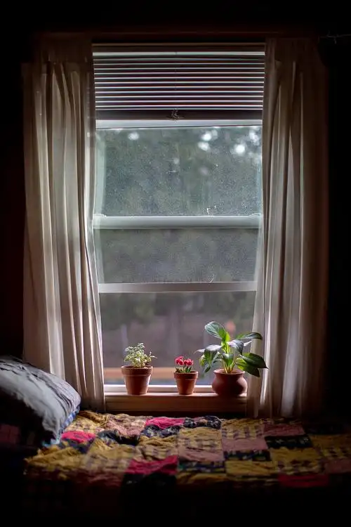 卧室早晨的阳光透过窗户图片