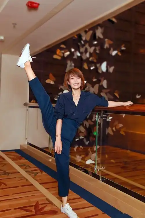 网友热议:了解她的过去就不奇怪了|马伊琍|舞蹈队|一字马_新浪新闻