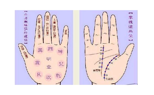 看手相是男左女右吗?