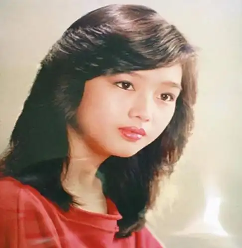 45岁的朱丽倩为刘德华冒着生命危险去做了试管婴儿