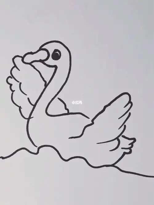 鹅简笔画