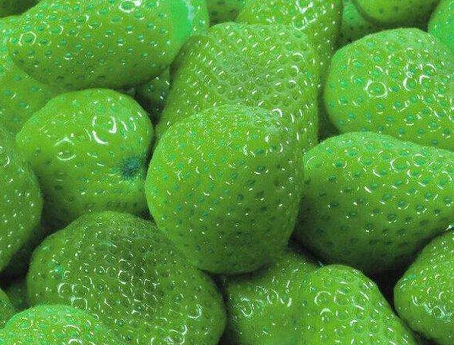 极其罕见的5种"绿色水果",绿草莓上榜,见过2种以上我拜服!