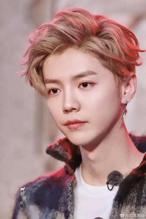 鹿晗库存饭拍背头造型造型真的太帅了