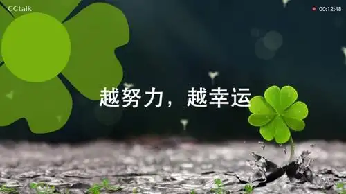 我身边的四叶草