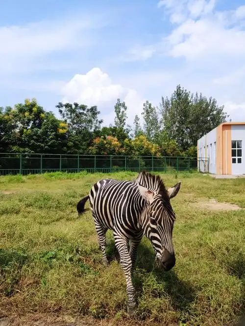 宿迁动物园