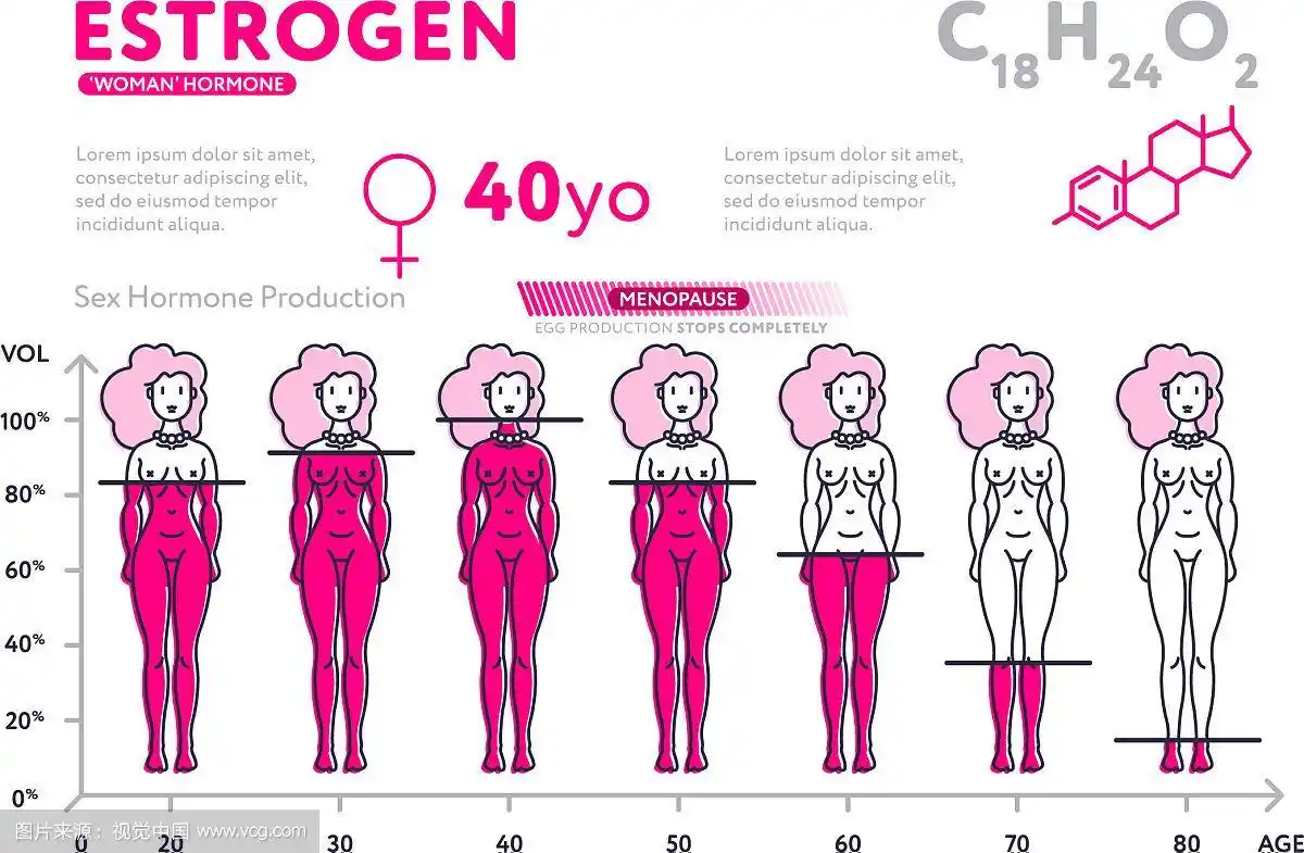 女性荷尔蒙在一生中的表现