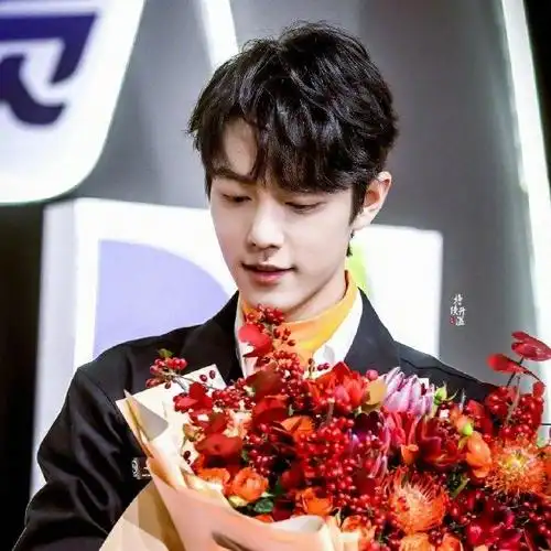 15王一博肖战前程似锦花团锦簇|肖战|王一博_新浪新闻